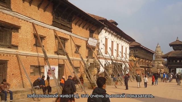 Грыжа сама не рассосется. Почему нельзя откладывать ее лечение на потом смотреть онлайн