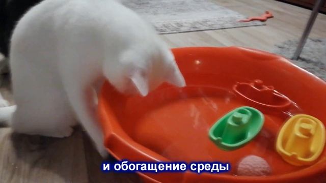 Магические амулеты