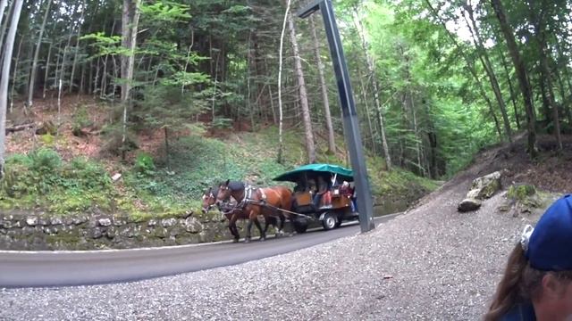 Нужно перекусить по дороге к замку смотреть онлайн