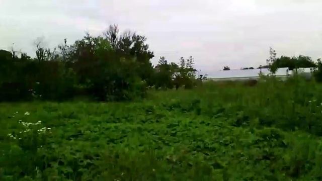 Влог●красная кукуруза●делаем попкорн из красной кукурузы/DIY/● смотреть онлайн