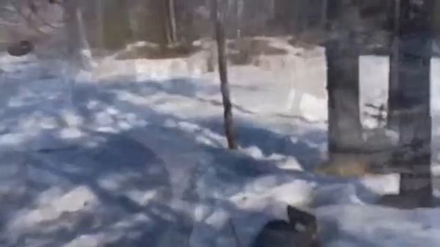 Дуэльный пистолет. Стрельба смотреть онлайн