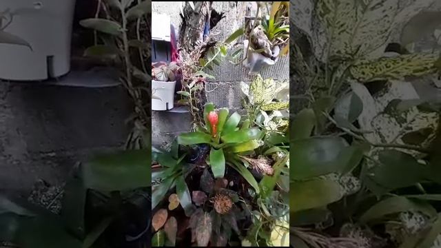 9 de septiembre de 2023 смотреть онлайн