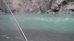 Рыбалка в Дагестане - Ручьевая форель