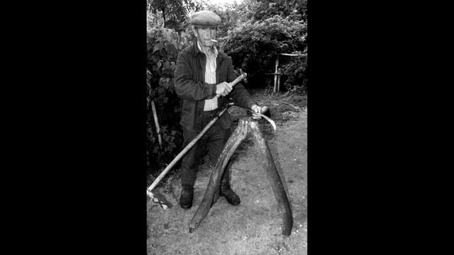 Rolandas Kazlas ir Pakeleiviai - Žydinti bobutė смотреть онлайн