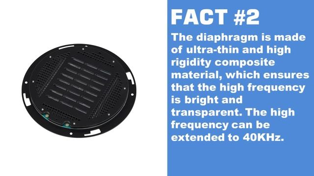 5 Facts About the Sendy Audio magnetostatic headphones "Peacock" смотреть онлайн