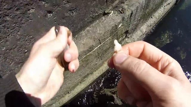 Ловля бычка на море ультралайтом. смотреть онлайн