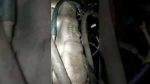 Газель 405 двигатель. Ключи в руках, зажигание работает