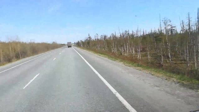 Болота на пути Сургут - Нижневартовск. смотреть онлайн
