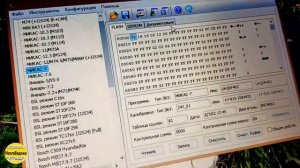 Прошивка Газели с карбюратором с ЭБУ Микас 7.1 243.3763000-01. Увеличиваем динамику, снижаем расход