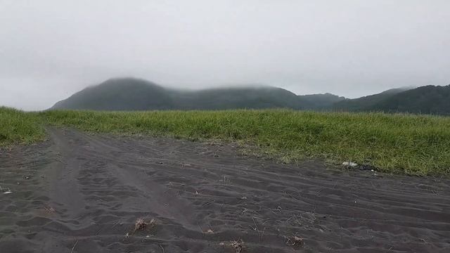 КАМЧАТКА Поездка на Тихий океан сбор ягоды шикши смотреть онлайн