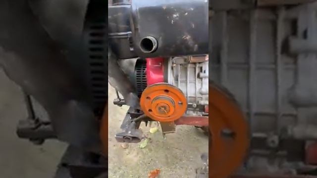 Weima на стероидах I часть. смотреть онлайн