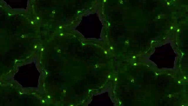 Another World Tilt Brush Gravity Sketch Arturia pigments смотреть онлайн