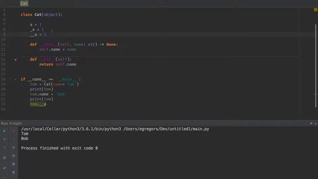 Python: Class methods / attrs смотреть онлайн