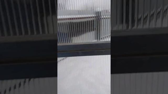 Как ещё можно использовать теплицу или решение для бассейна смотреть онлайн