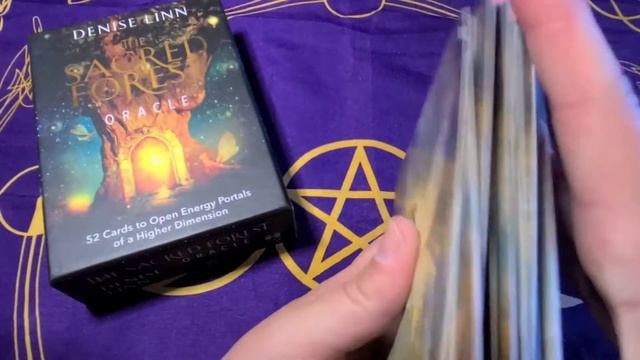 Sacred Forest Oracle Daily Card Pull смотреть онлайн