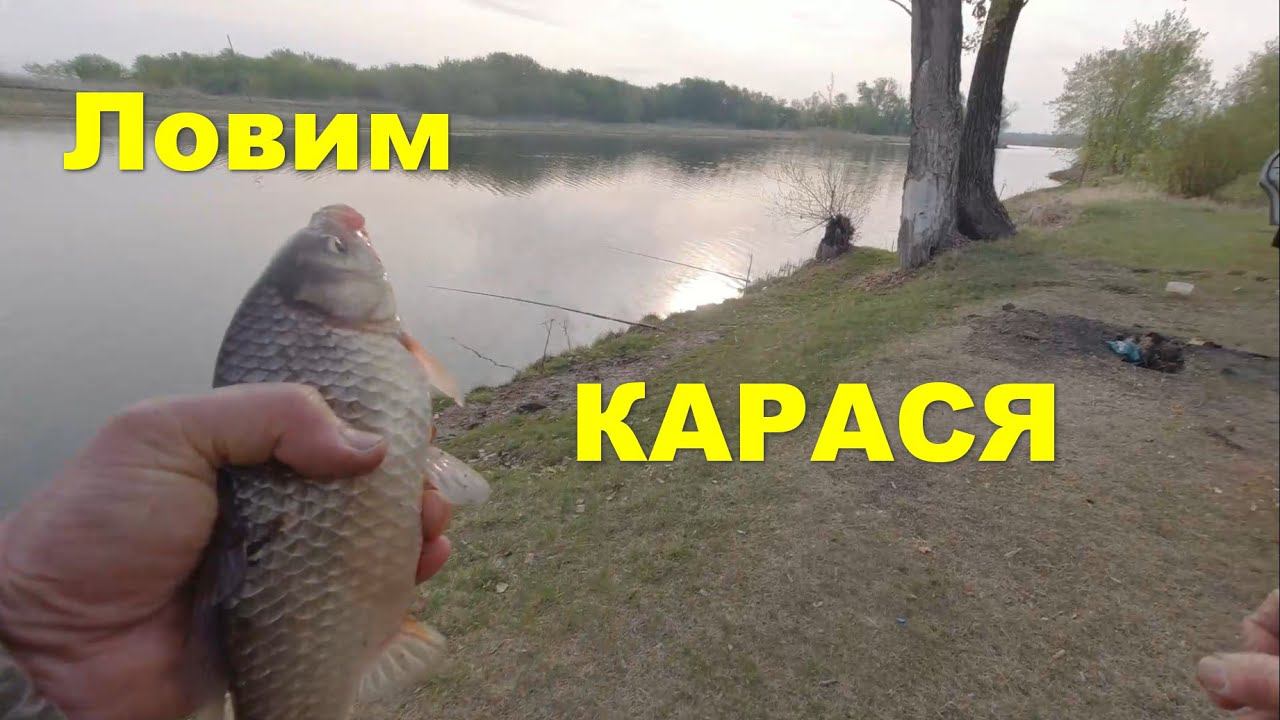 Ловим карася весной смотреть онлайн