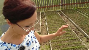 Видео привет с 6 соток 23 мая 2023 года