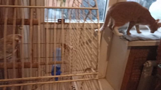 Старое помещение и старик