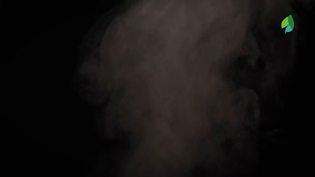 История еды смотреть онлайн