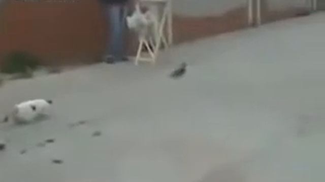 Потерял смысл жизни смотреть онлайн