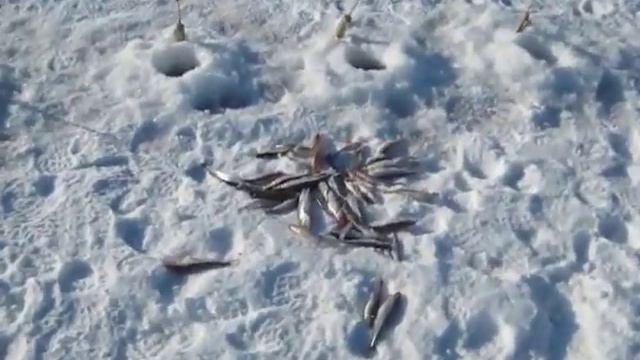 Систа-Палкино смотреть онлайн