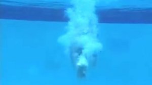 Девушки под водой