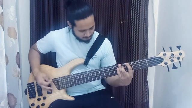 Periphery - Catch Fire bass cover w/ EXCLUSIVE BASS SOLO смотреть онлайн