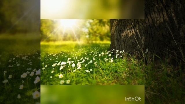 14 октября 2022 г. смотреть онлайн