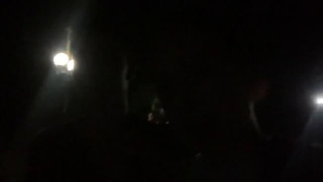 Влог: подсолнухи // укусила оса // смотреть онлайн