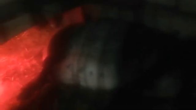 почему мы выбрали породу Венгерской мангалицы. причина, мраморное мясо. смотреть онлайн