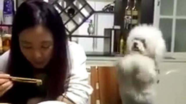 хозяйка, совесть имей! смотреть онлайн