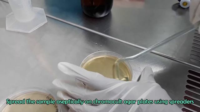 Enumeration of Escherichia coli (Total E. coli Count)_A Complete Procedure (ISO 9308-1 & ISO 16649) смотреть онлайн