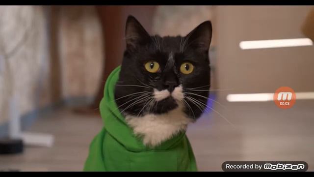Клип Арина и Артём гучи флип флап💚💙 смотреть онлайн