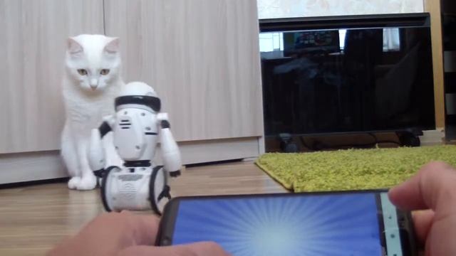 WowWee MiP обзор и функции смотреть онлайн