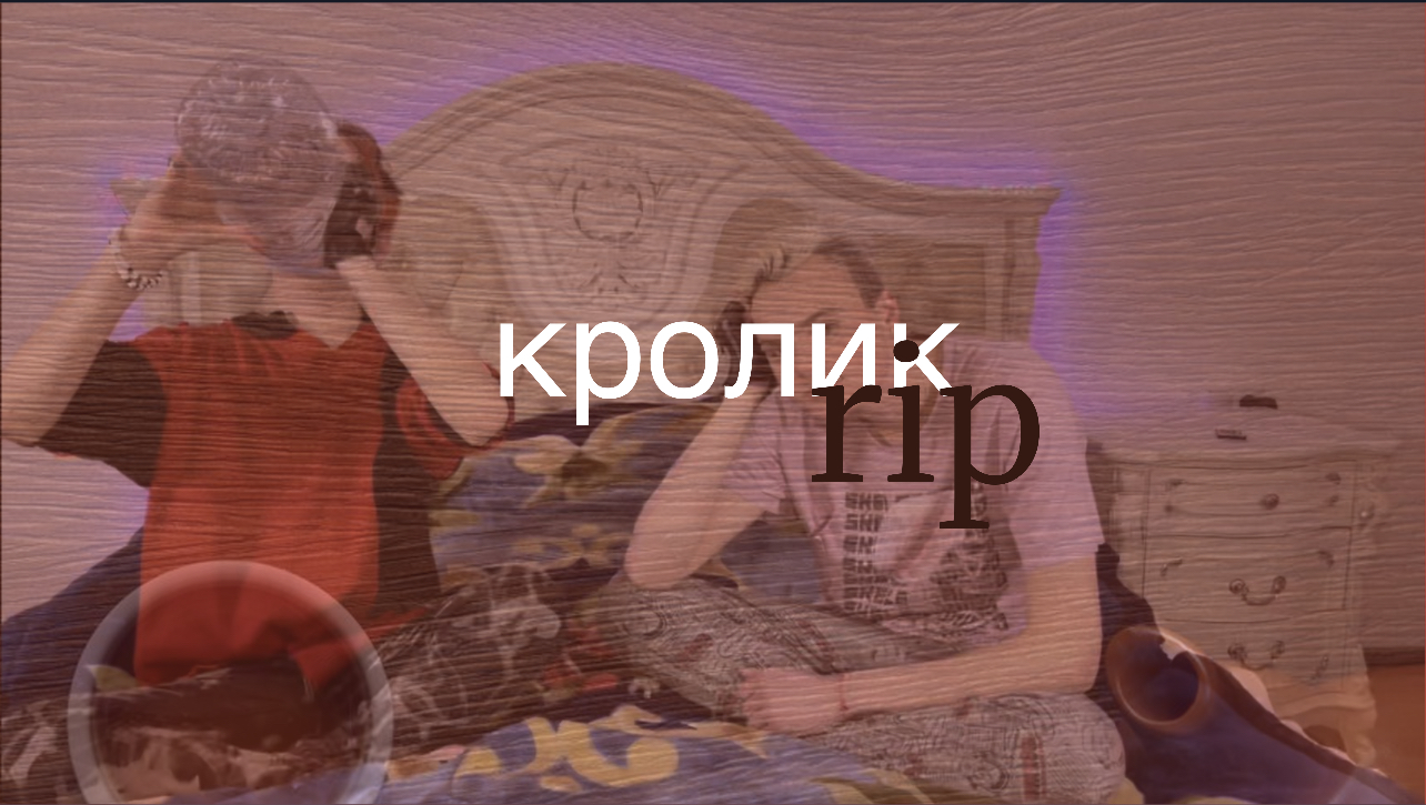 Везучий кролик, пылесос и водяная обезьянка ?