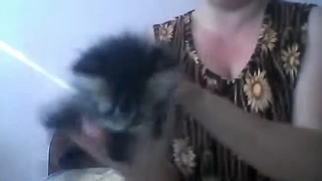 Видео с веб-камеры. Дата: 5 августа 2013 г., 17:20.