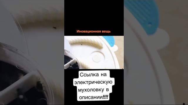 Электрическая мухоловка #Shorts #short смотреть онлайн