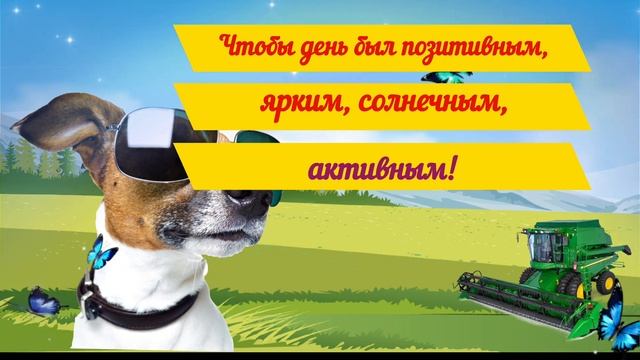 пожелание хорошего дня смотреть онлайн