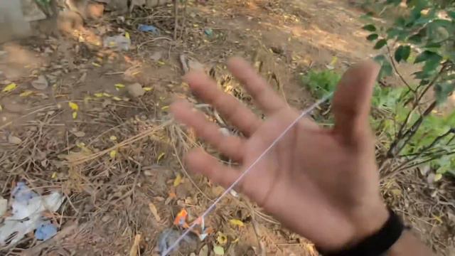 Bull Kite caught forest | kite catching kite flying | kite fighting смотреть онлайн
