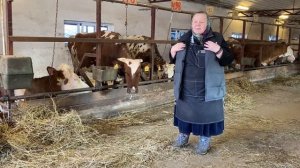 Откорм бычка до года. Кормление телят.