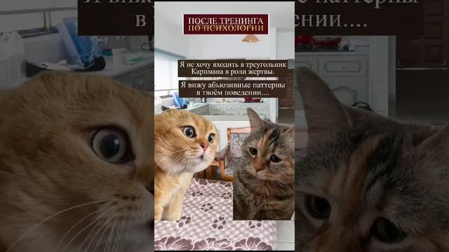 1000003086.mp4 смотреть онлайн