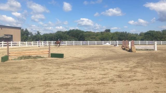 CHSA 2'6" Hunter Derby CHAMPION смотреть онлайн