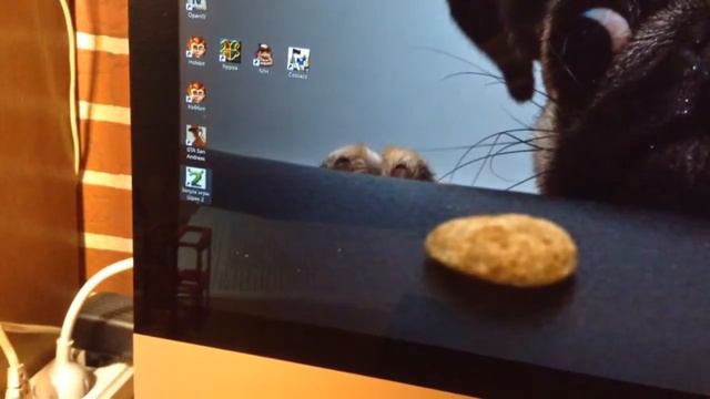 Shrek 2 Windows 10 run error/ Ошибка запуска Шрек 2 на 10 винде. смотреть онлайн