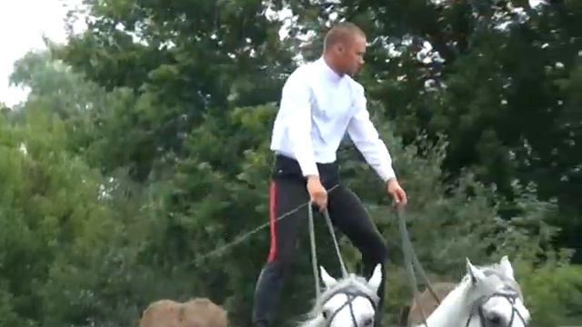 М-ТВ РЕТРО. Джигитовка (Взгляд оператора). Ст.Кумылженская. 2016 г. смотреть онлайн