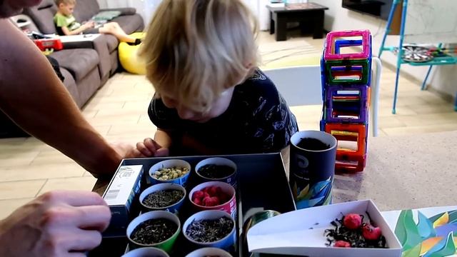 Vlog 19.11? ЧАЙ-КОНСТРУКТОР / СЛОМАЛА ИГЛУ / ОПЯТЬ БЕЗ СВЕТА / ПЕРЕПЕЛА