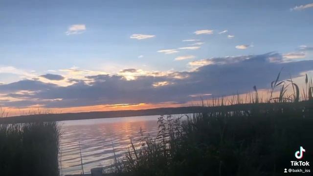 Межура самая большая рыба смотреть онлайн