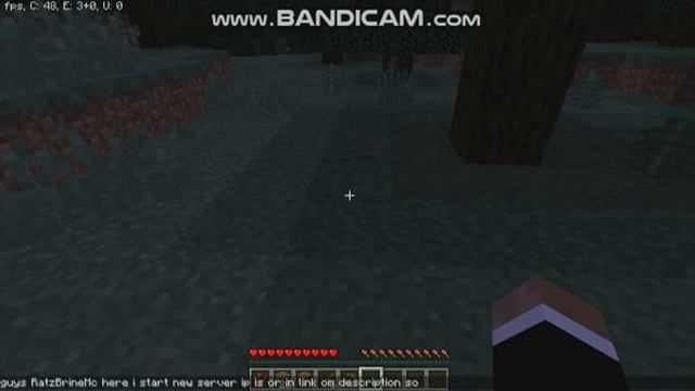 My new server ip on description only for java pure surrvial no cheating смотреть онлайн