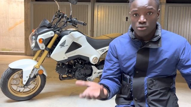 IL PROGETTO PER LA MIA HONDA MSX 125 #hondagrom #hondamsx125 #msx125 смотреть онлайн