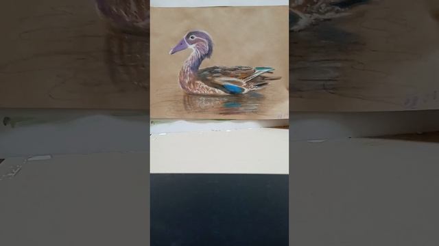 Цветы и птицы. Масляная пастель #художникЕкатеринаБородулина #КартинасчастьевдомВК #картинавинтерье