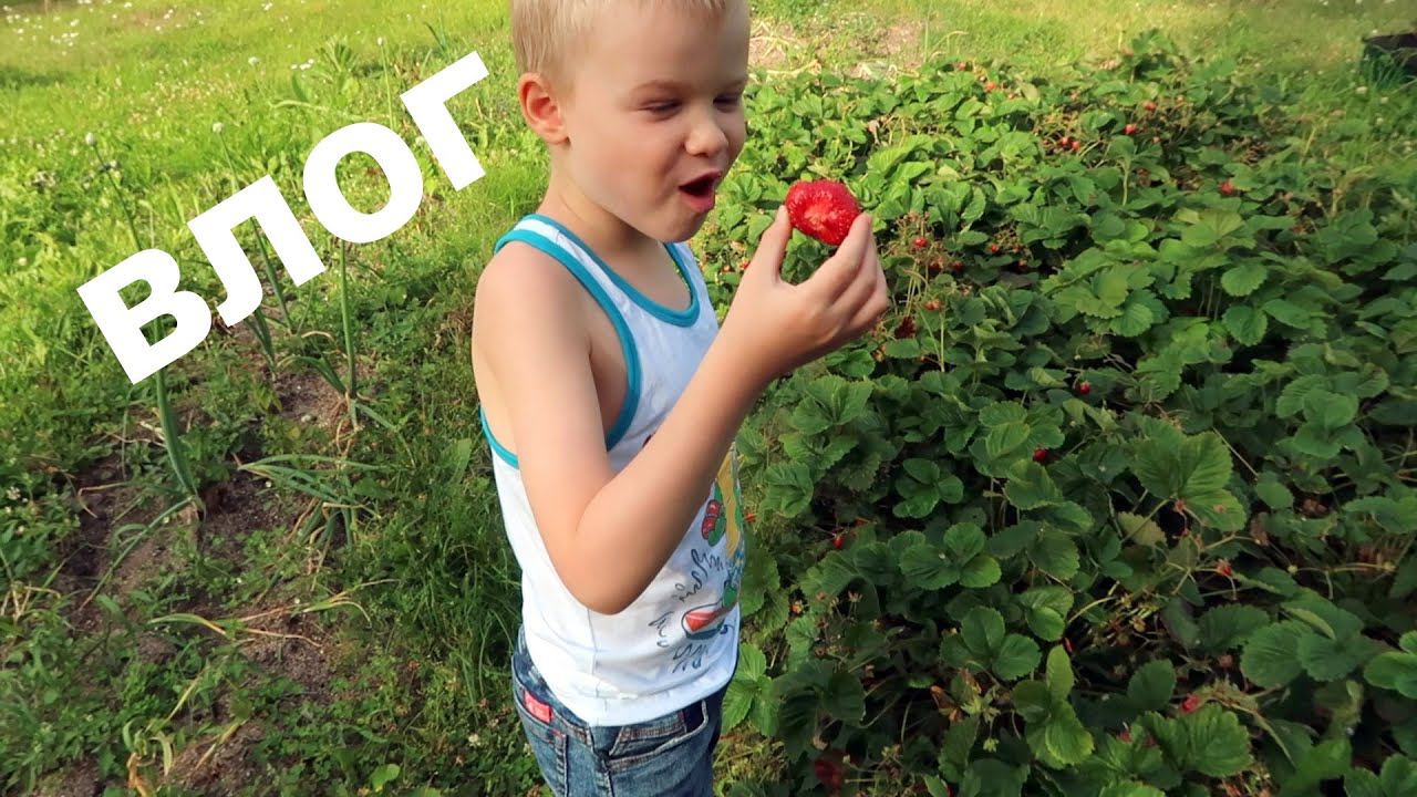 ВЛОГ беззаботные деньки на даче смотреть онлайн